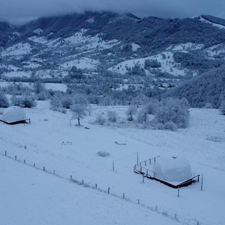 Tranquil Dome - Manta'S Retreat Glamping Cornereva酒店 外观 照片
