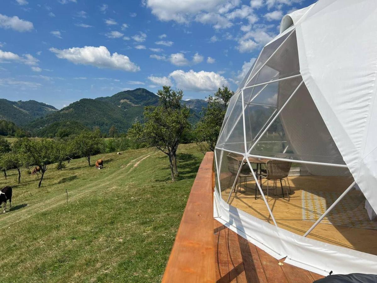 Tranquil Dome - Manta'S Retreat Glamping Cornereva酒店 外观 照片