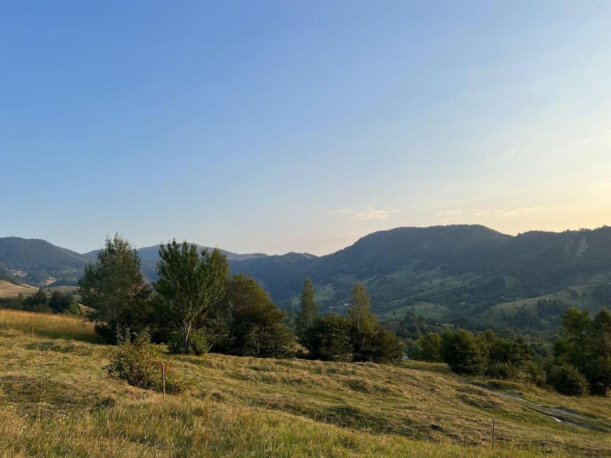 Tranquil Dome - Manta'S Retreat Glamping Cornereva酒店 外观 照片