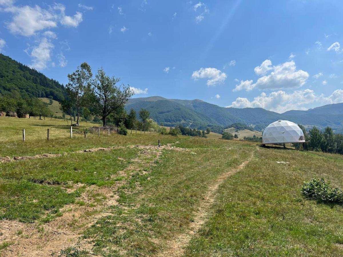 Tranquil Dome - Manta'S Retreat Glamping Cornereva酒店 外观 照片